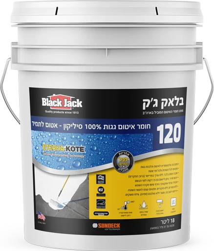בלאק-גק-120-100-סיליקון