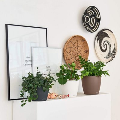 כד קלסיקו קולור 18