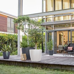 כד קלסיקו קולור