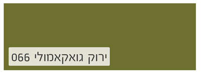 ירוק גואקאמולי 066
