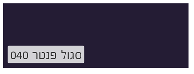 סגול פנטר 040