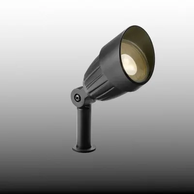 ספוט דגם-Jona