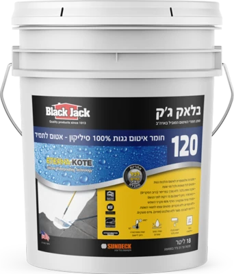 בלאק-גק-120-100-סיליקון